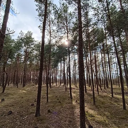 Luxury Vanagupe & Apartman *