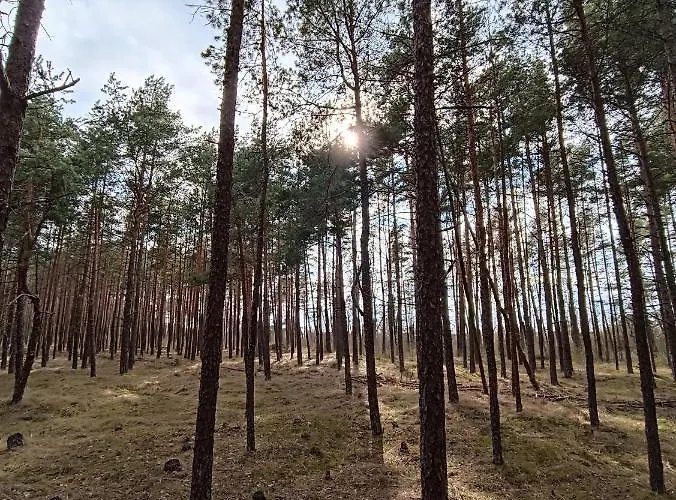 Luxury Vanagupe & Apartman *